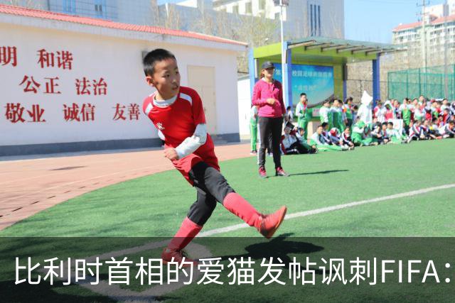 比利时首相的爱猫发帖讽刺FIFA：“红牌？”我照样继续踢！